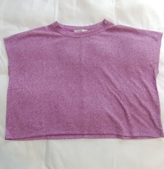 Zenana Outfitters Tops - Zenana Plum Crop Top Oversized Crew Neck